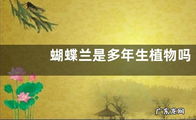 蝴蝶兰是多年生植物吗