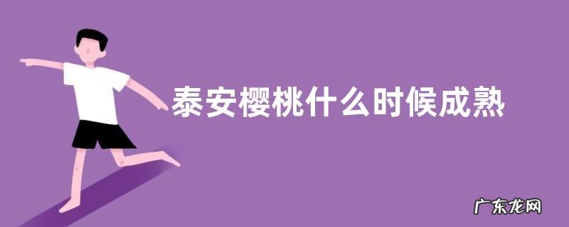 泰安樱桃什么时候成熟