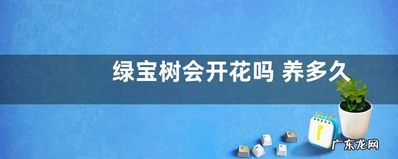 绿宝树会开花吗 养多久才能开花