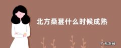 北方桑葚什么时候成熟