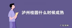 泸州桂圆什么时候成熟
