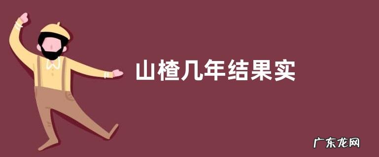 山楂几年结果实