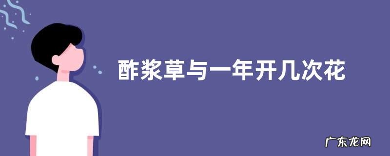 酢浆草与一年开几次花