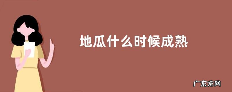 地瓜什么时候成熟