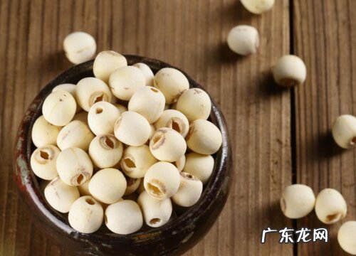 莲蓬长在什么地方