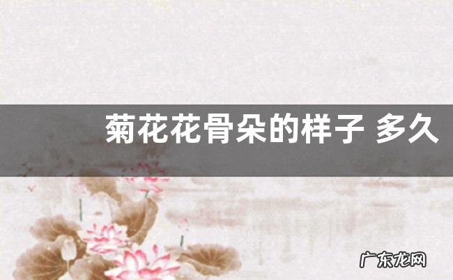 菊花花骨朵的样子 多久开花