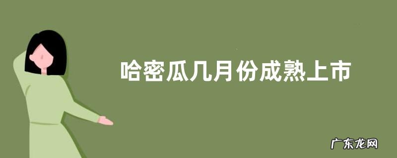哈密瓜几月份成熟上市
