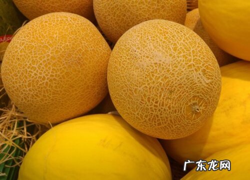 哈密瓜几月份成熟上市