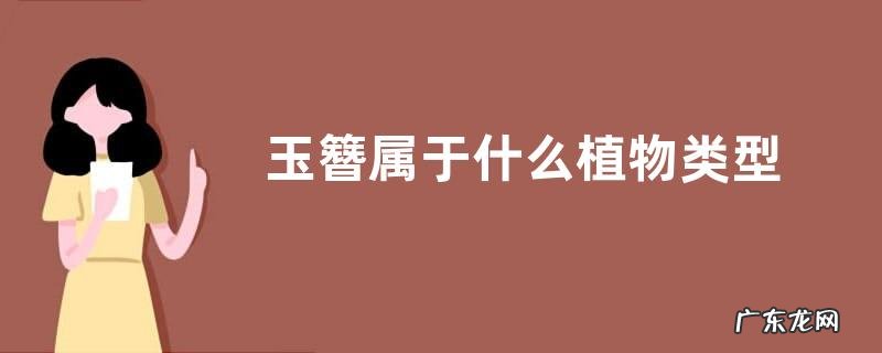 玉簪属于什么植物类型