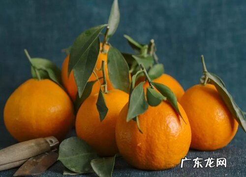 爱媛几月份成熟上市