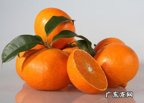 爱媛几月份成熟上市