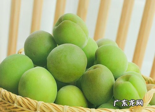 青梅几月份成熟上市