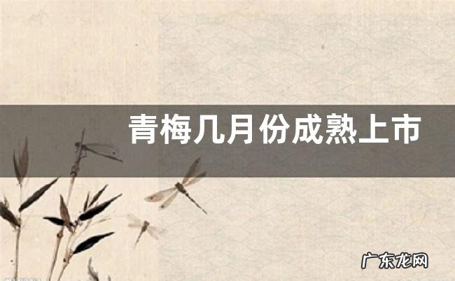 青梅几月份成熟上市