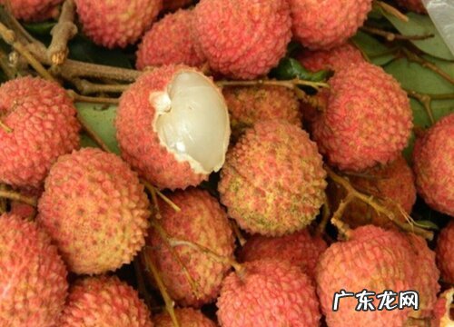 荔枝几月份成熟上市