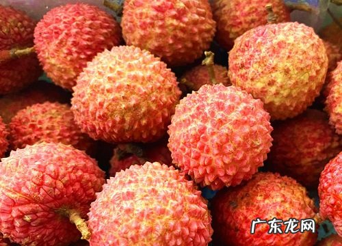 荔枝几月份成熟上市