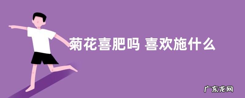 菊花喜肥吗 喜欢施什么肥料