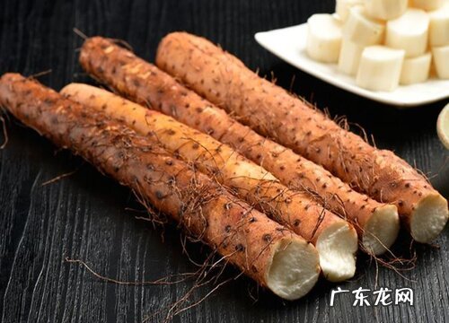 山药几月份成熟上市