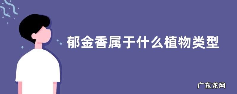 郁金香属于什么植物类型
