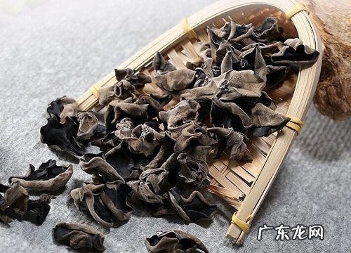 木耳属于什么植物类型