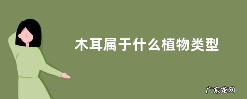 木耳属于什么植物类型