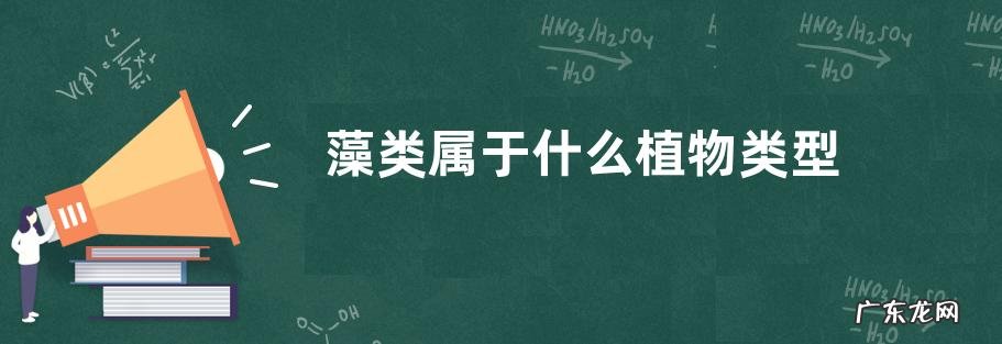 藻类属于什么植物类型