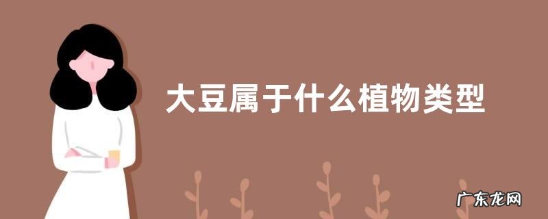 大豆属于什么植物类型