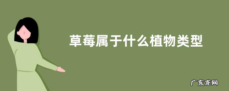 草莓属于什么植物类型