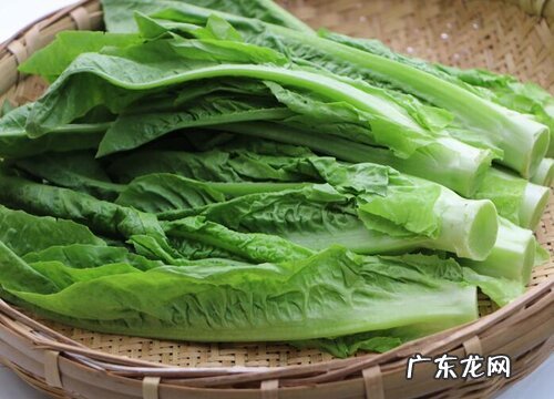 莴苣是什么季节的菜
