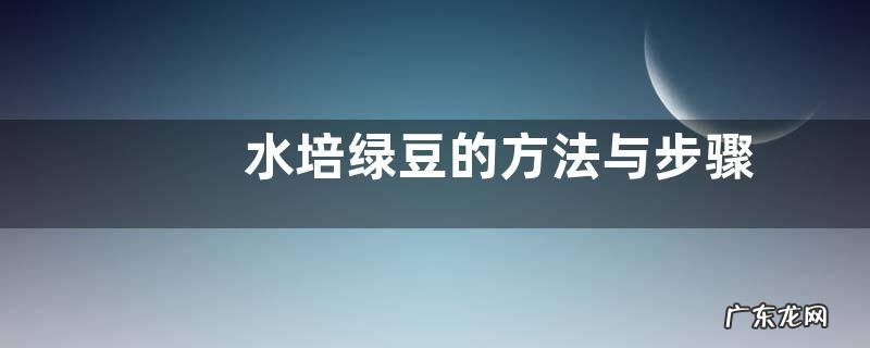 水培绿豆的方法与步骤 如何用水培养绿豆
