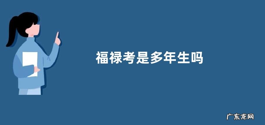 福禄考是多年生吗