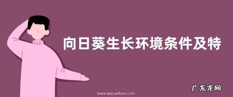 向日葵生长环境条件及特点
