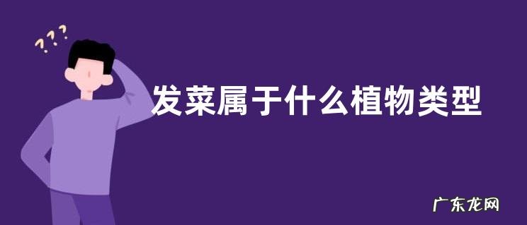 发菜属于什么植物类型