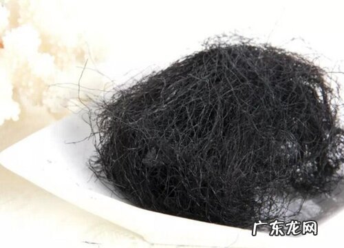 发菜属于什么植物类型