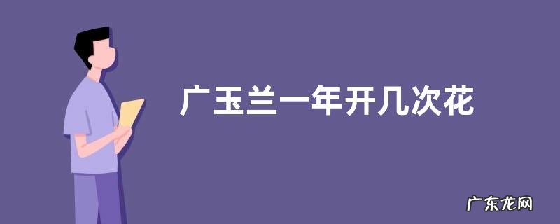 广玉兰一年开几次花