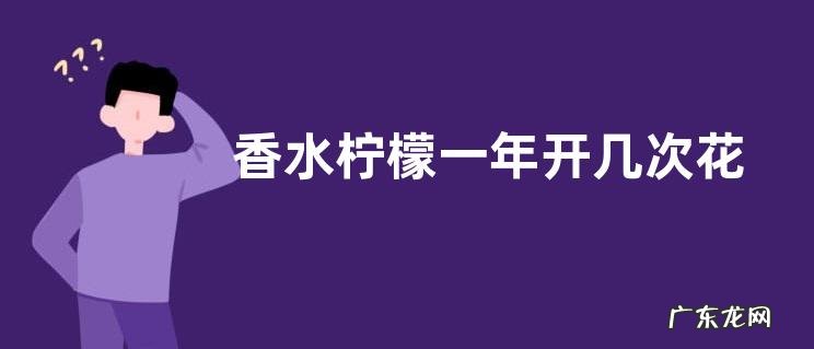 香水柠檬一年开几次花