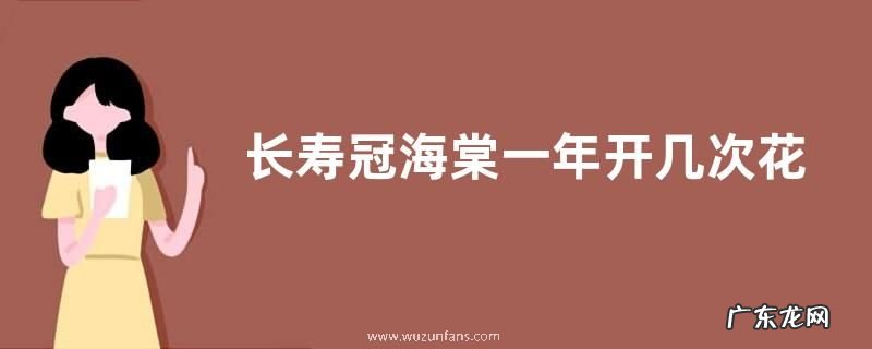 长寿冠海棠一年开几次花