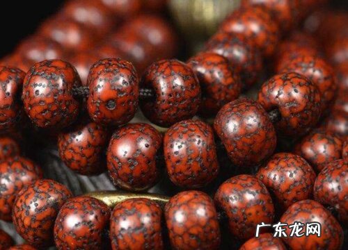 星月菩提是什么植物的种子