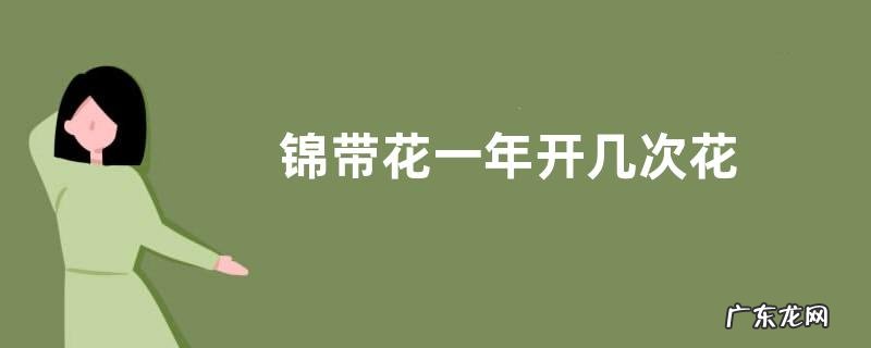 锦带花一年开几次花
