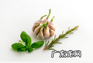 油菜怎么做好吃