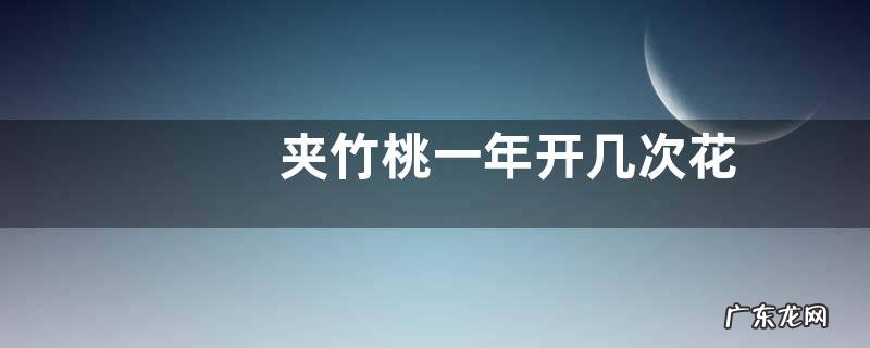 夹竹桃一年开几次花