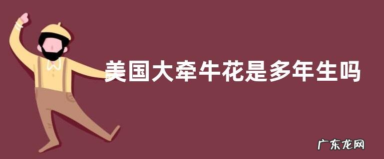 美国大牵牛花是多年生吗