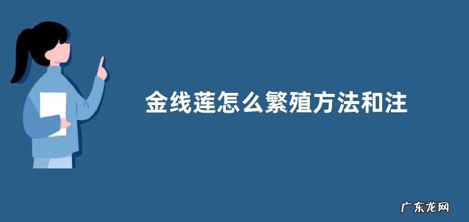 金线莲怎么繁殖方法和注意事项