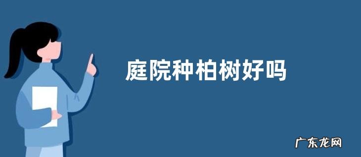 庭院种柏树好吗