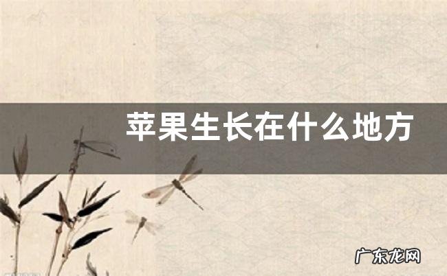 苹果生长在什么地方
