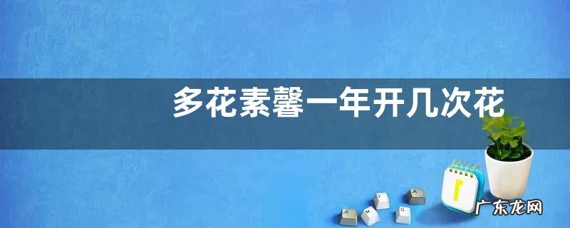 多花素馨一年开几次花