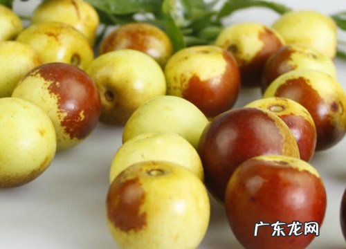 冬枣亩产量多少斤