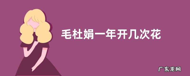 毛杜娟一年开几次花