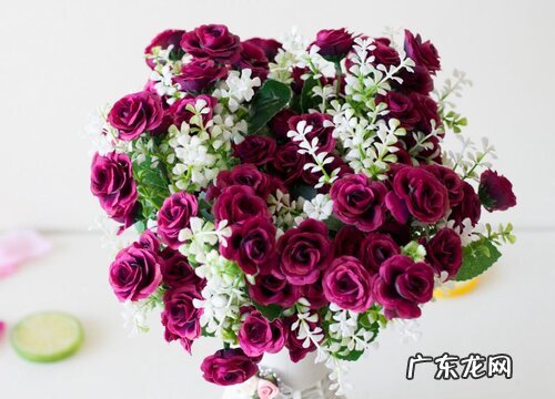 袖珍玫瑰一年开几次花