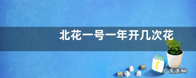 北花一号一年开几次花