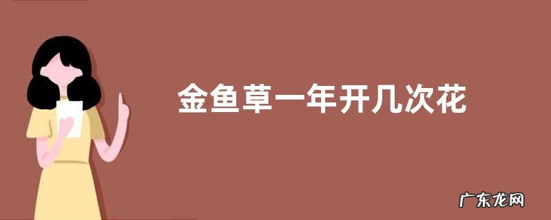 金鱼草一年开几次花